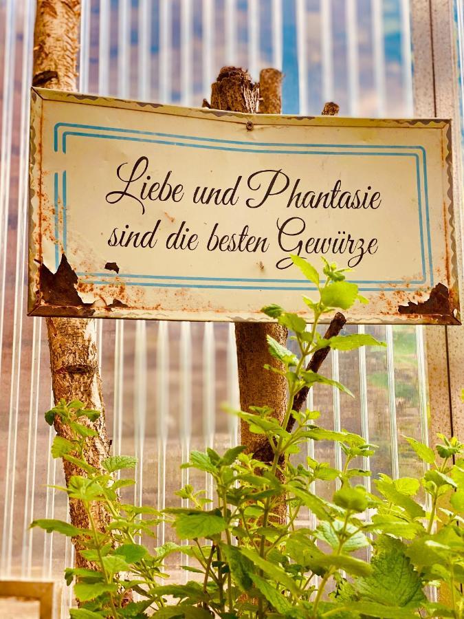 Appartement Lieblingsplatz Im Pfalzer Wald à Lambrecht  Extérieur photo