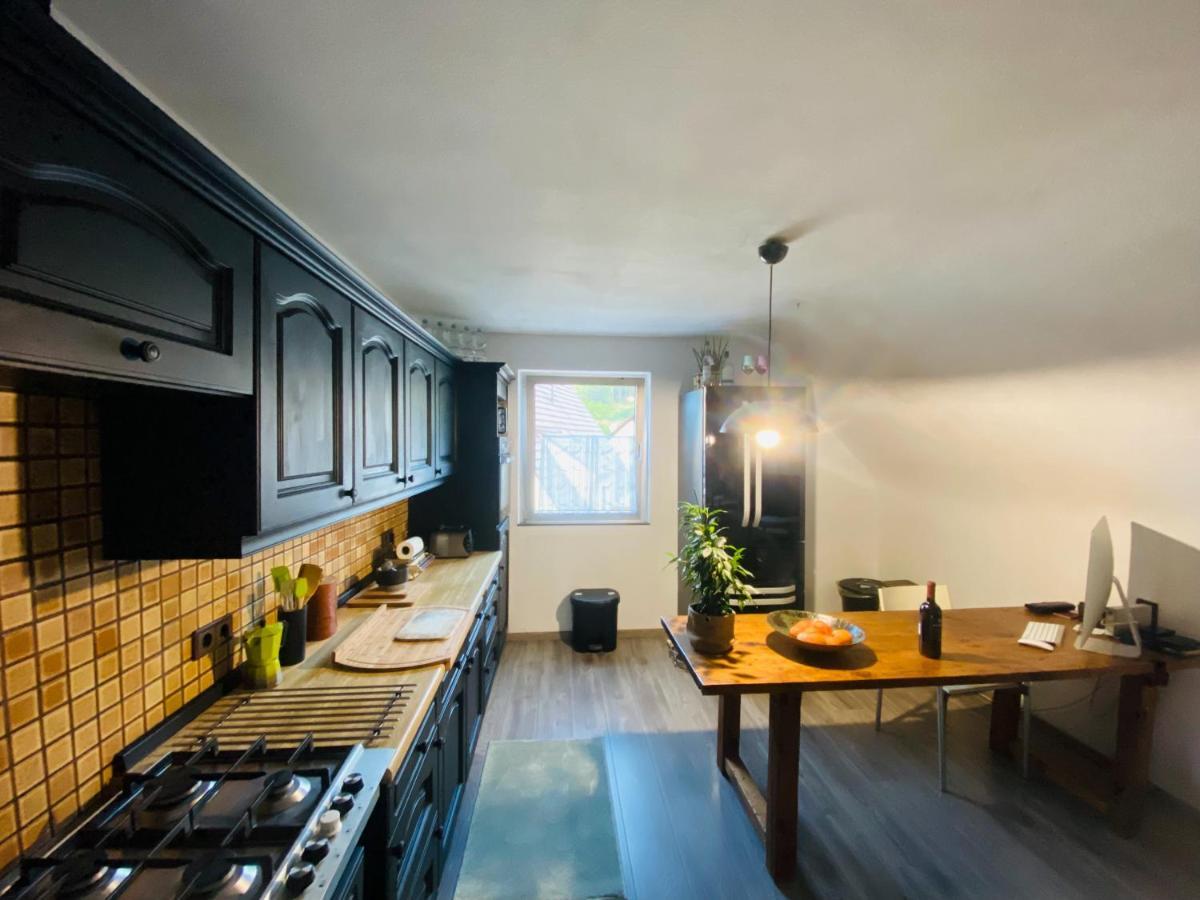 Appartement Lieblingsplatz Im Pfalzer Wald à Lambrecht  Extérieur photo
